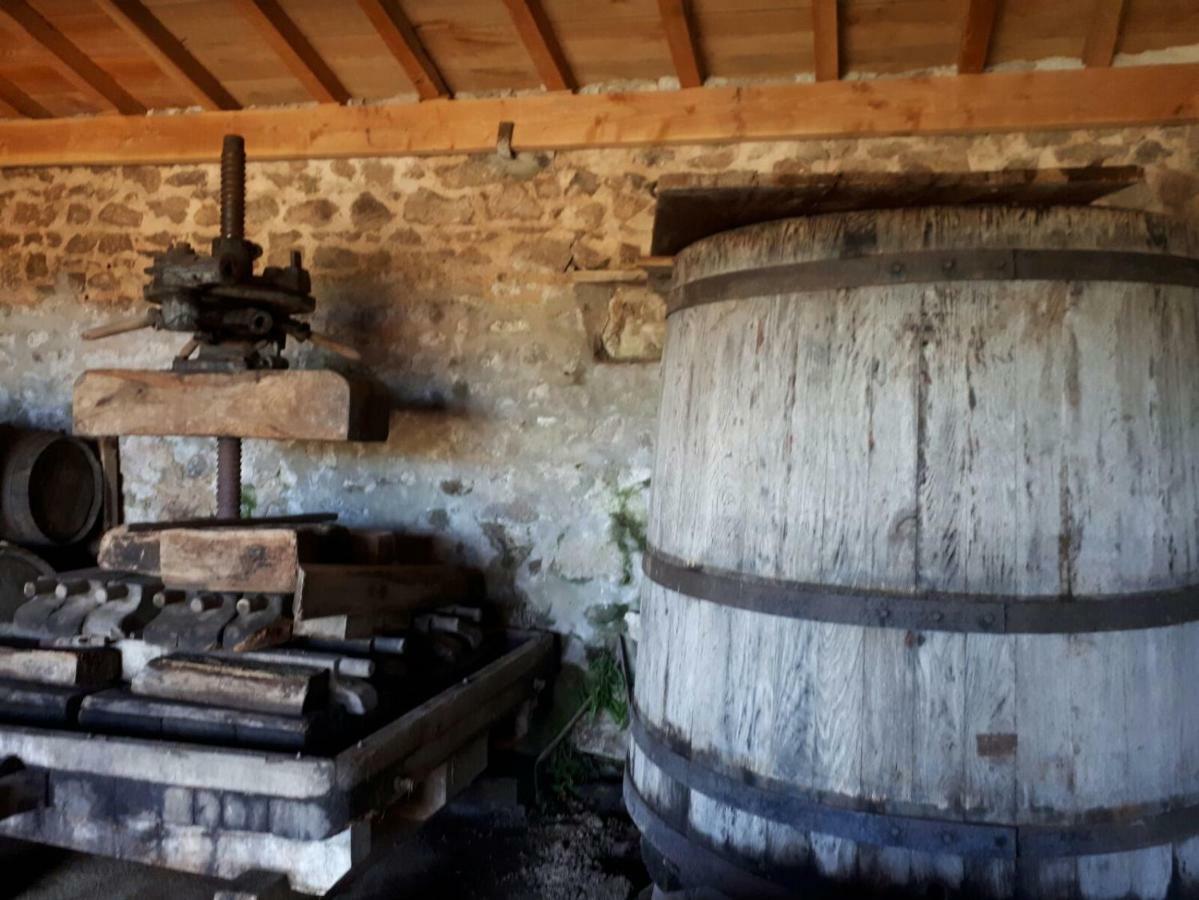 Grand Gite Maison D Alice Auvergne - 15 Personnes Saint-Bonnet-les-Quarts エクステリア 写真